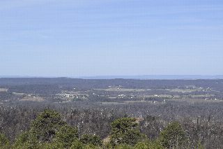 _DSC0005.JPG