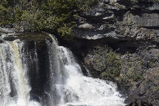 _DSC0040.JPG