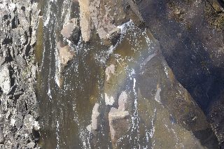 _DSC0084.JPG