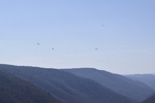 _DSC0148.JPG