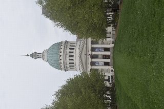 _DSC0004.JPG