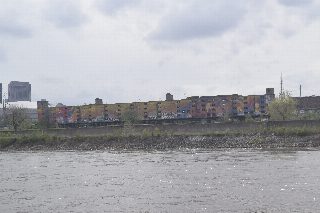 _DSC0173.JPG