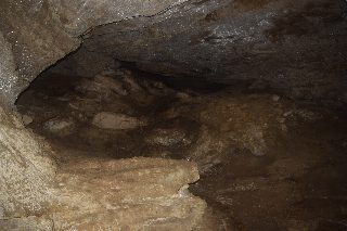 _DSC0318.JPG