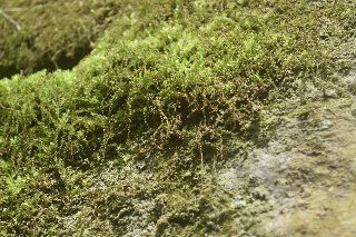 _DSC0351.JPG