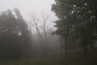 _5240117.JPG