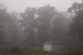 _5240120.JPG