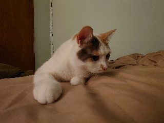 005138.JPG