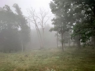 DSC_0009.JPG