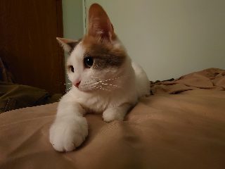 DSC_0041.JPG