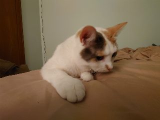 DSC_0042.JPG