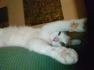 DSC_0087.JPG