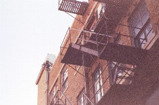 030.jpg