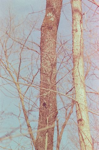 016.jpg