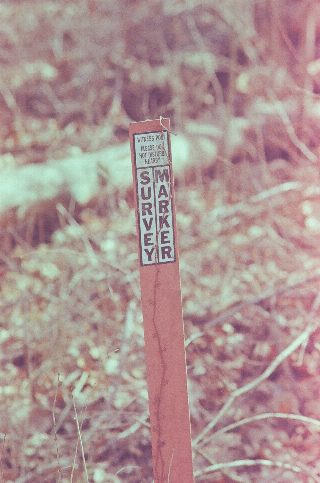 017.jpg