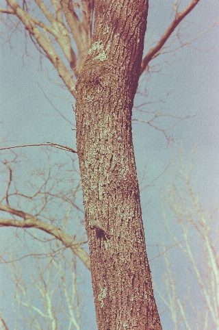 022.jpg