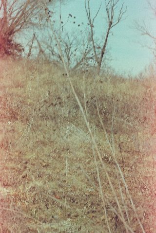 030.jpg