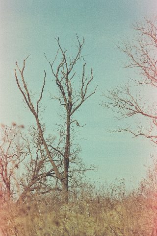 031.jpg